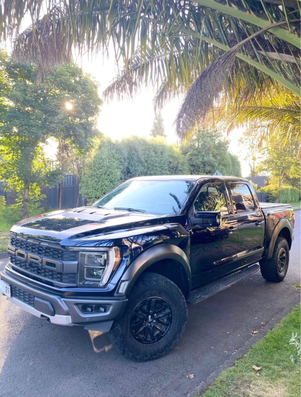 Ford F-150 Raptor 2024
